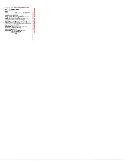 Actaea Spicata 12c 5g (Actaea Spicata 12c 5g)